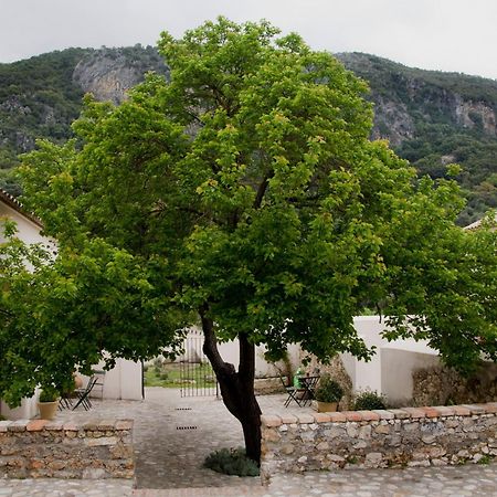 Casa Rural El Vihuelo El Bosque Kültér fotó