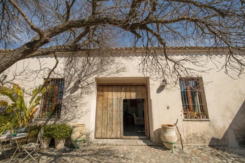 Casa Rural El Vihuelo El Bosque Kültér fotó