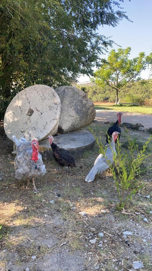 Casa Rural El Vihuelo El Bosque Kültér fotó