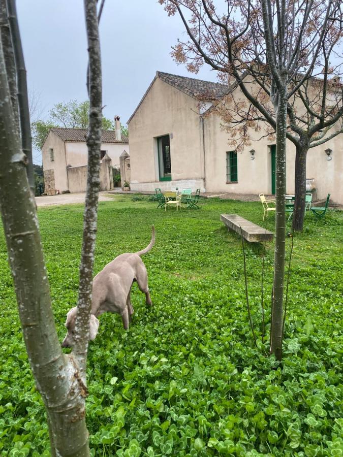 Casa Rural El Vihuelo El Bosque Kültér fotó