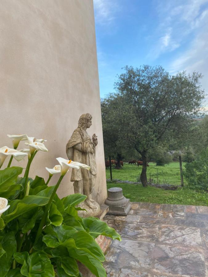 Casa Rural El Vihuelo El Bosque Kültér fotó