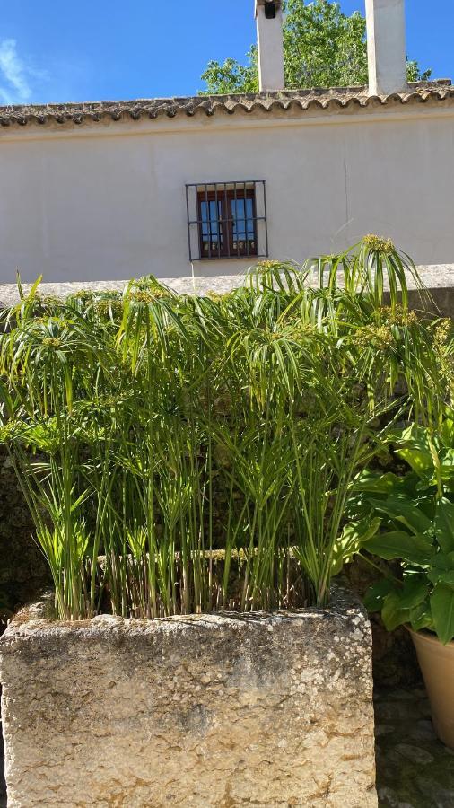 Casa Rural El Vihuelo El Bosque Kültér fotó