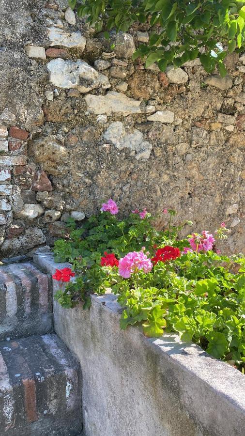 Casa Rural El Vihuelo El Bosque Kültér fotó