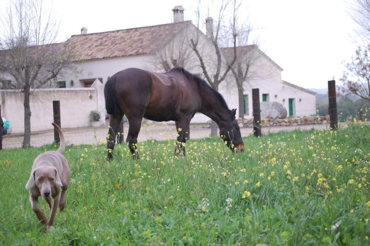 Casa Rural El Vihuelo El Bosque Kültér fotó