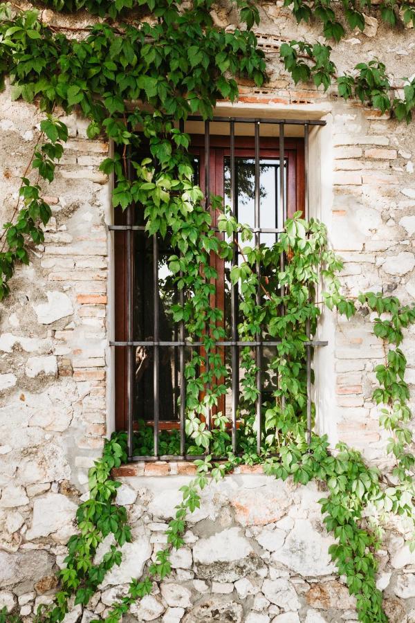 Casa Rural El Vihuelo El Bosque Kültér fotó