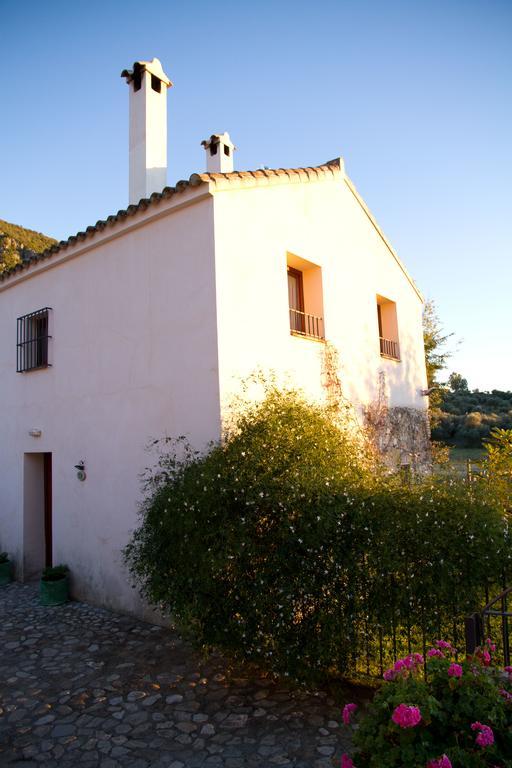 Casa Rural El Vihuelo El Bosque Kültér fotó