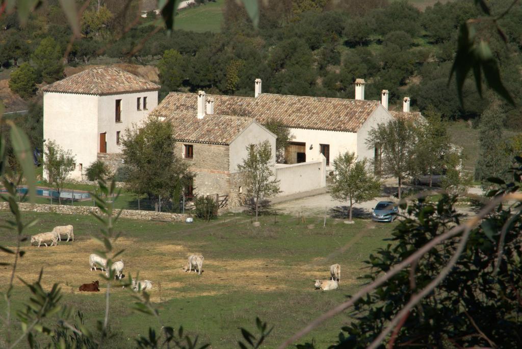 Casa Rural El Vihuelo El Bosque Kültér fotó