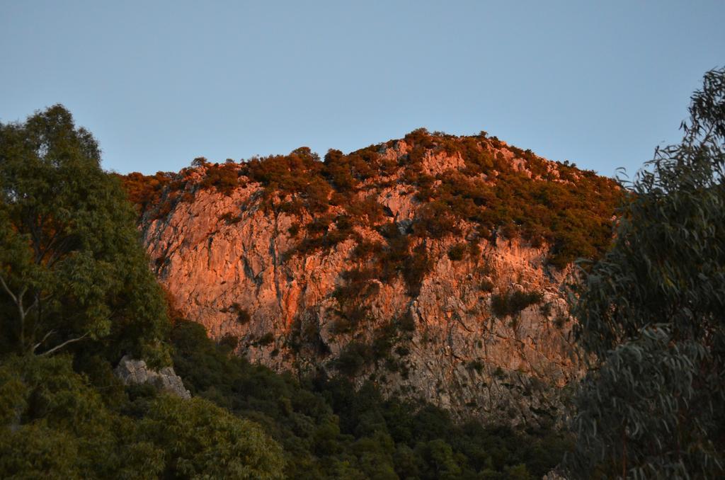 Casa Rural El Vihuelo El Bosque Kültér fotó