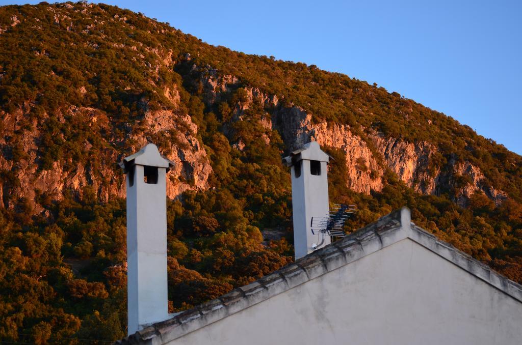 Casa Rural El Vihuelo El Bosque Kültér fotó