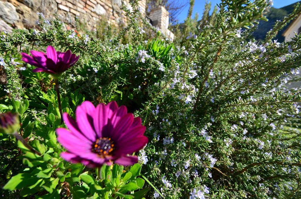 Casa Rural El Vihuelo El Bosque Kültér fotó