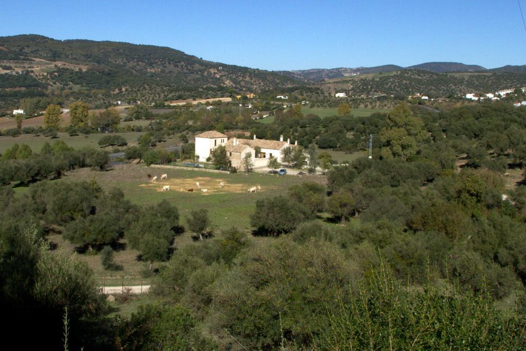 Casa Rural El Vihuelo El Bosque Kültér fotó
